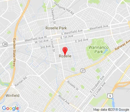 logo-image - roselle-nj